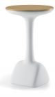 Armillaria_Table_Polyethylene_Varius_Color_with_Top