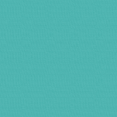 Colore dell'anno Pantone 2005