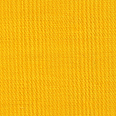 Colore dell'anno Pantone 2009