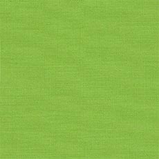 Colore dell'anno Pantone 2017