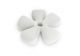 Ogo Flower