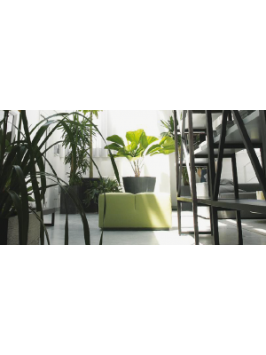 Sales Online Ffoup/2 Pouff Solid Oak or American Walnut with Fabric by Linfa Design.